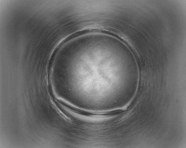 X0000064720791200602101122