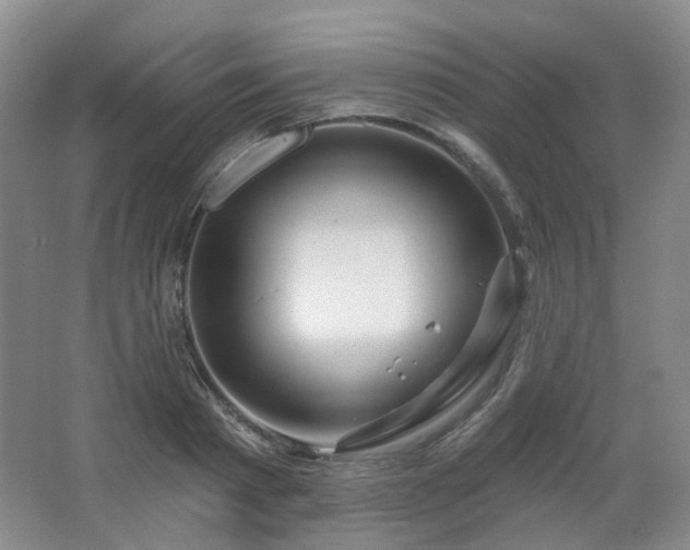 X0000064720793200602101122