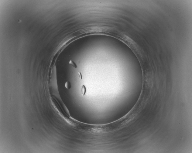 X0000064720794200602101122