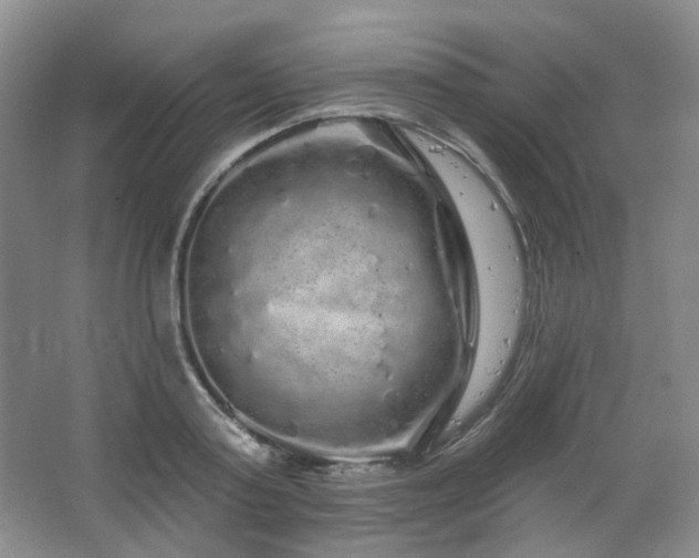 X0000064720795200602101122