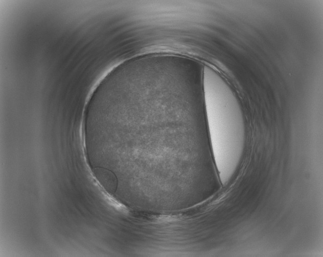 X0000064720796200602101122