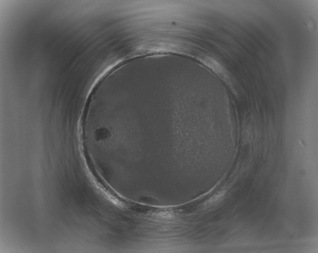 X0000064720798200602101122