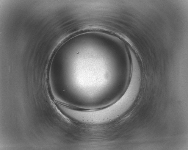 X0000064720799200602101122