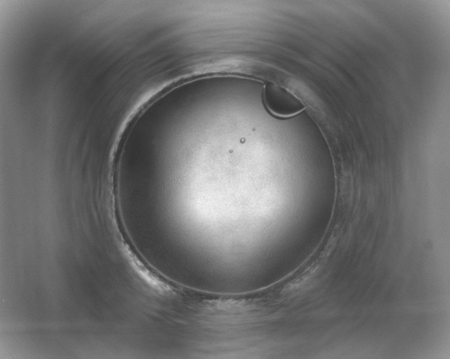 X0000064720800200602101122