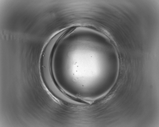 X0000064720803200602101122