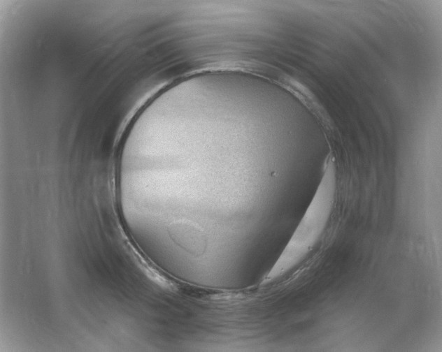 X0000064720804200602101122