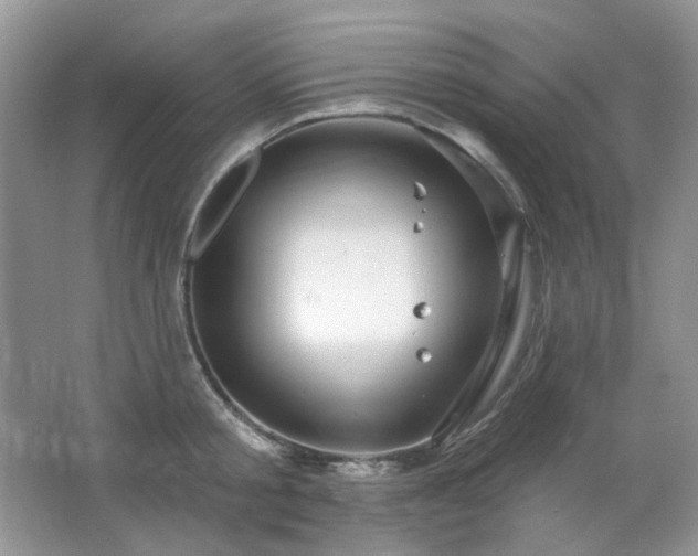 X0000064720805200602101122