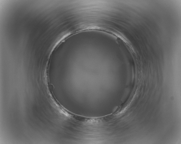 X0000064720806200602101122