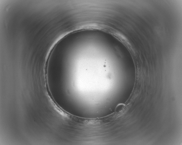 X0000064720808200602101122