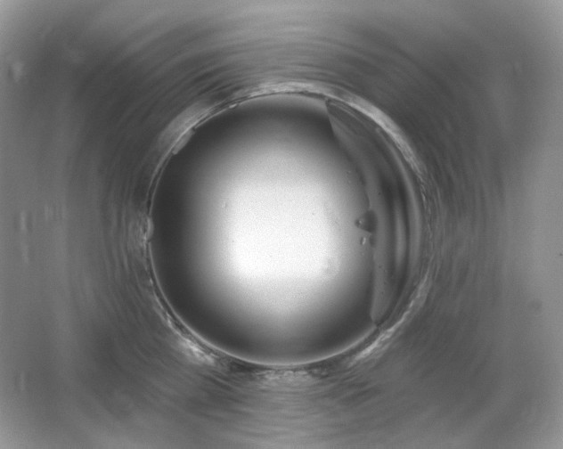 X0000064720809200602101122