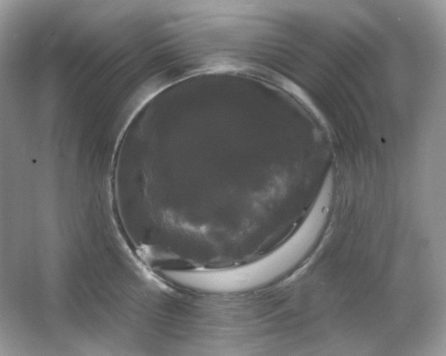 X0000064720810200602101122