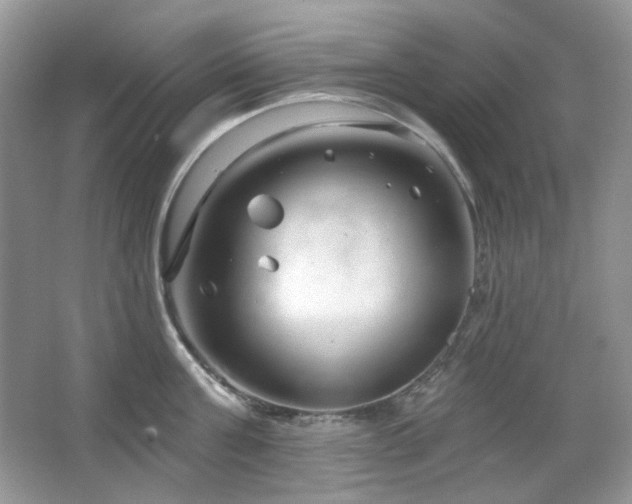 X0000064720811200602101122