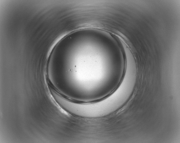 X0000064720812200602101122