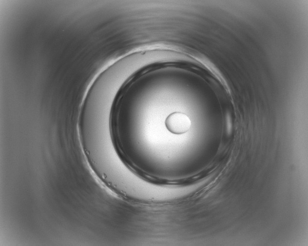 X0000064720813200602101122