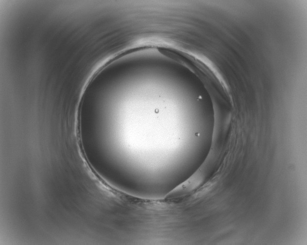 X0000064720815200602101122