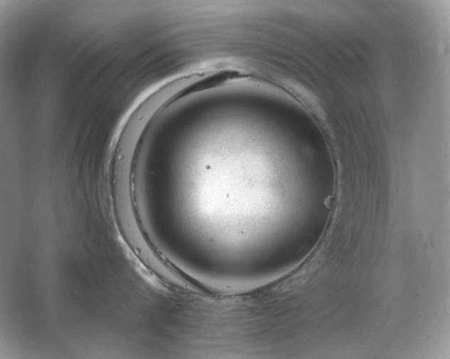 X0000064720816200602101122