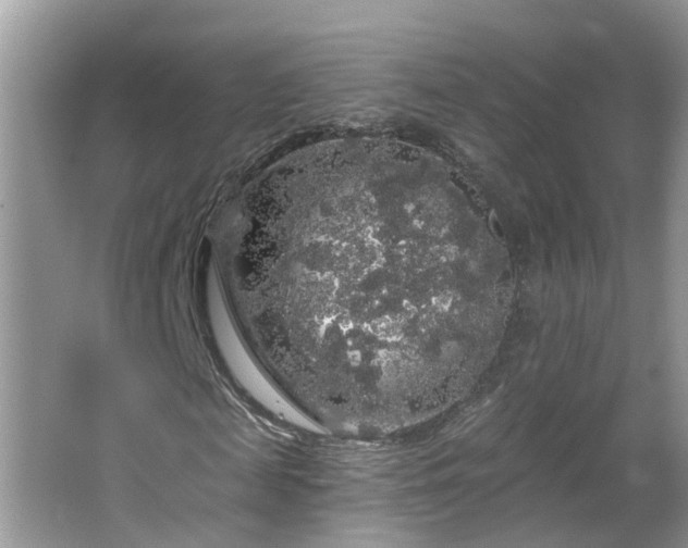 X0000064720817200602101121