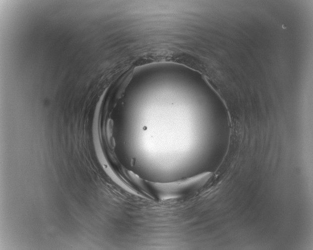 X0000064720818200602101121