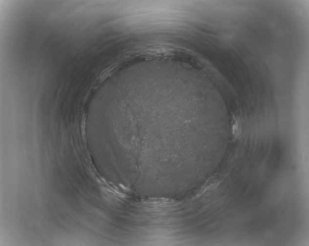 X0000064720819200602101121