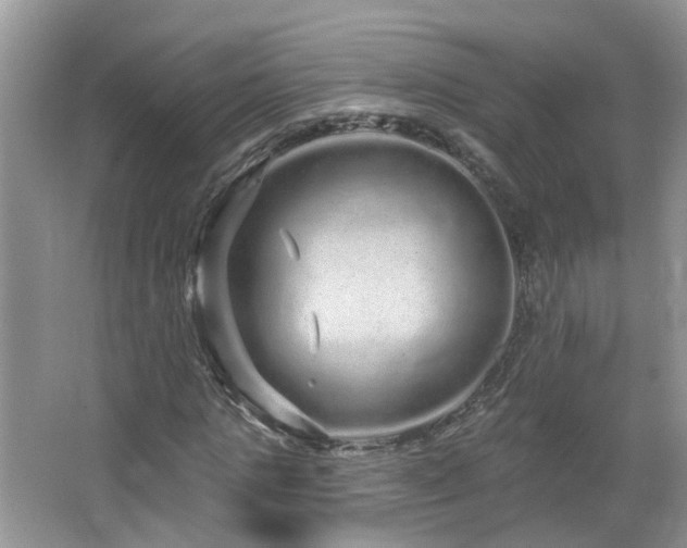 X0000064720821200602101121