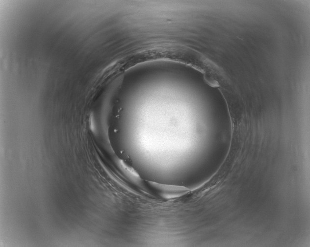 X0000064720822200602101121