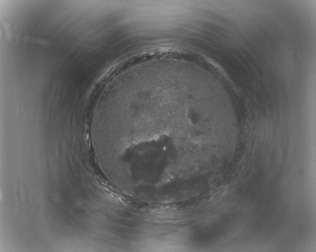 X0000064720823200602101121