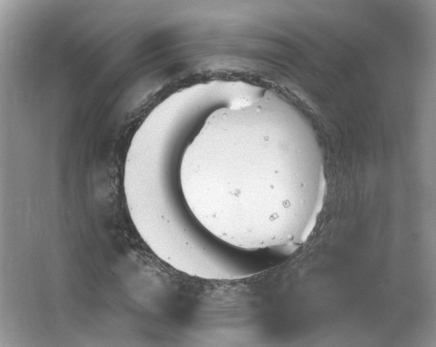 X0000064720824200602101121