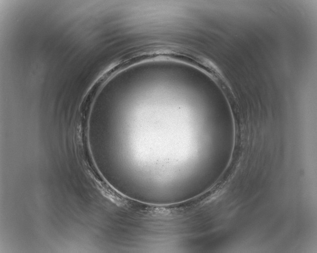 X0000064720827200602101121