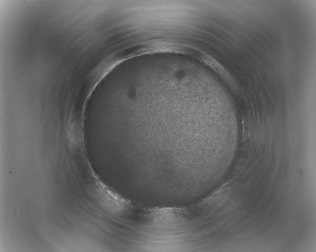 X0000064720828200602101121