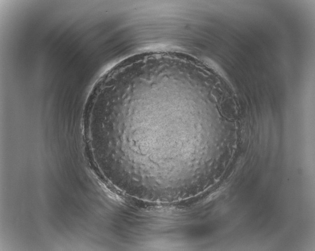 X0000064720831200602101121