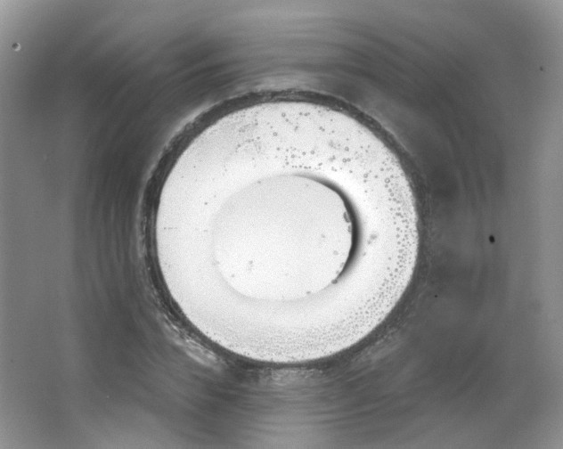 X0000064720832200602101121