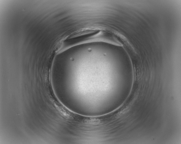 X0000064720833200602101122