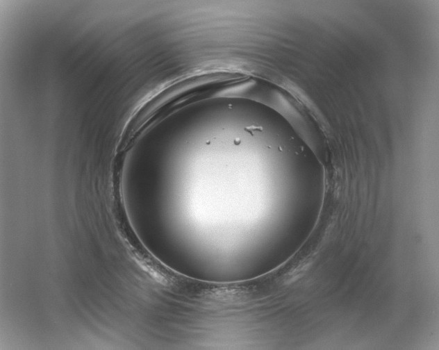 X0000064720834200602101122