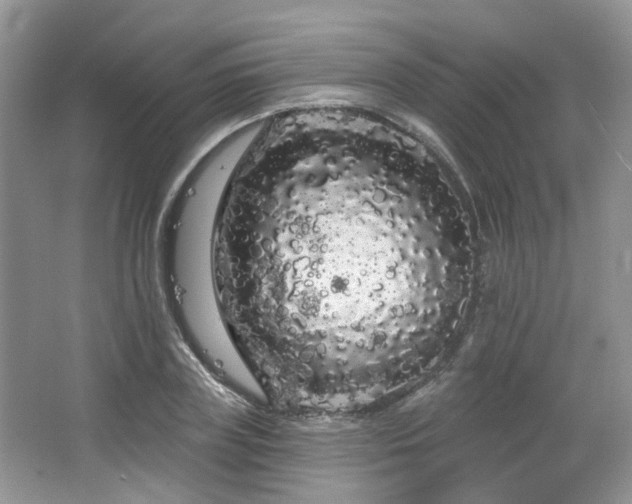 X0000064720835200602101122