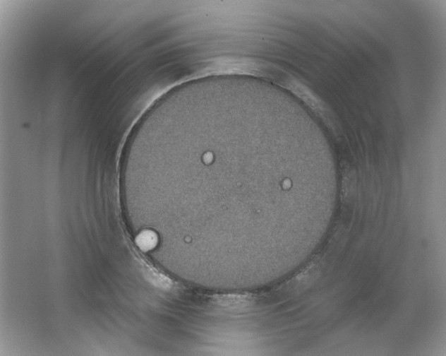 X0000064720836200602101122