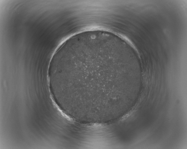 X0000064720839200602101122