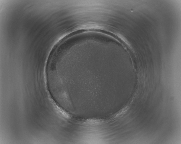 X0000064720840200602101122