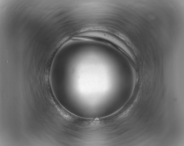 X0000064720841200602101122