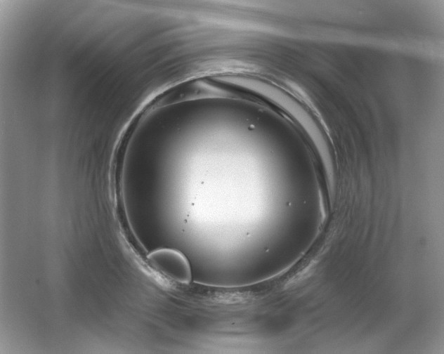 X0000064720843200602101122