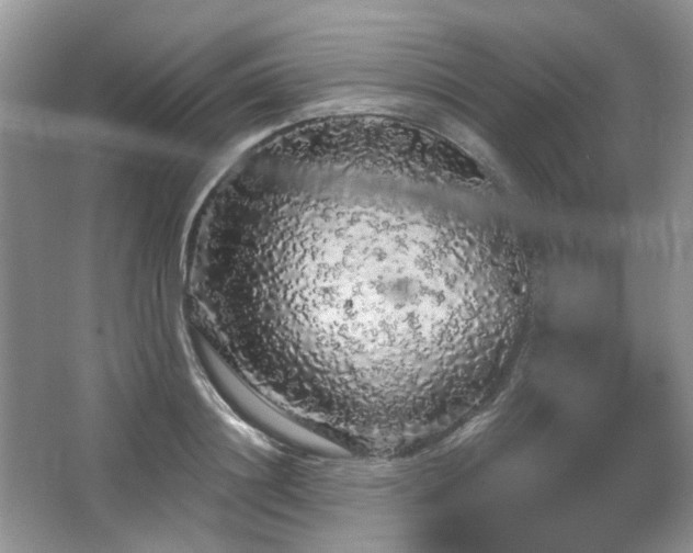 X0000064720844200602101122