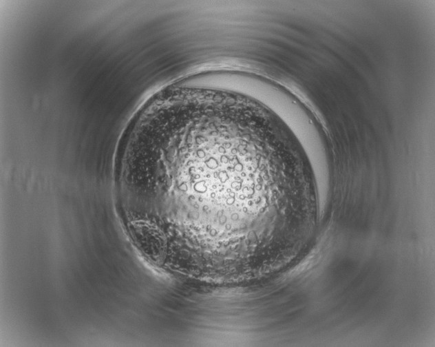 X0000064720845200602101122