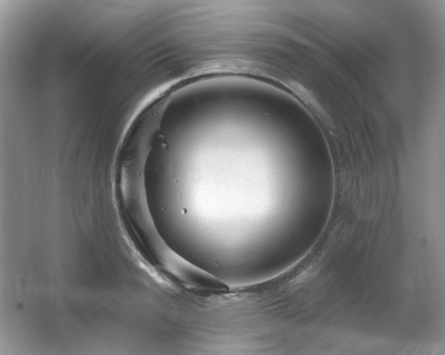 X0000064720846200602101122