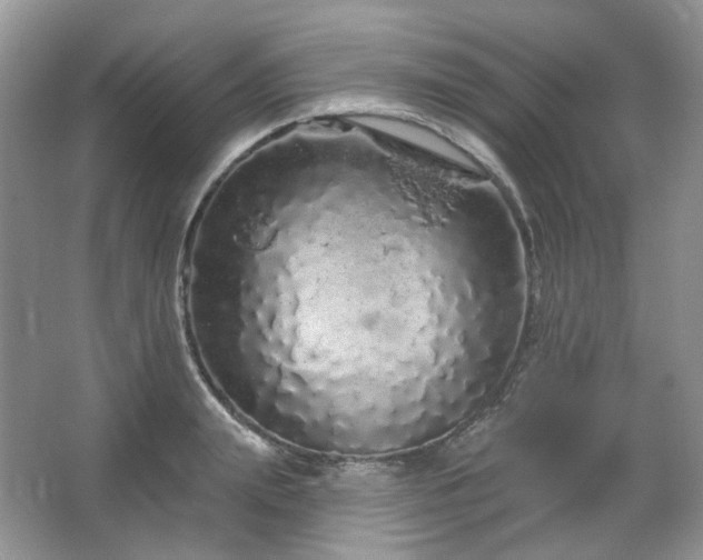 X0000064720847200602101122