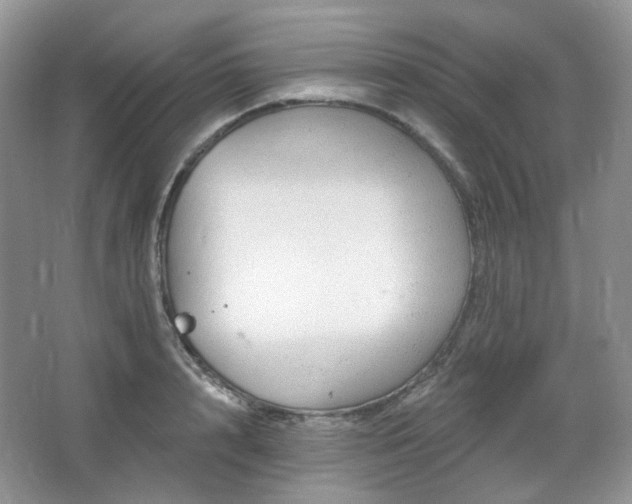 X0000064720848200602101122