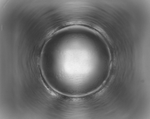 X0000064720849200602101122