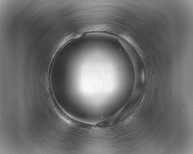 X0000064720850200602101122