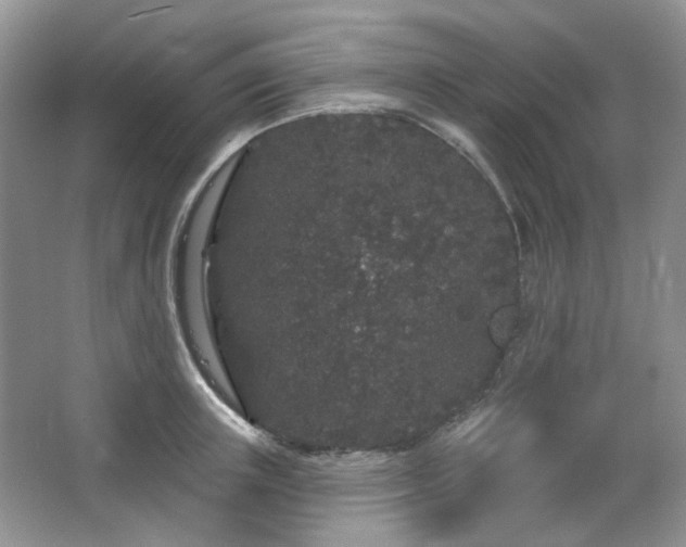 X0000064720851200602101122