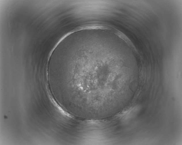 X0000064720852200602101122