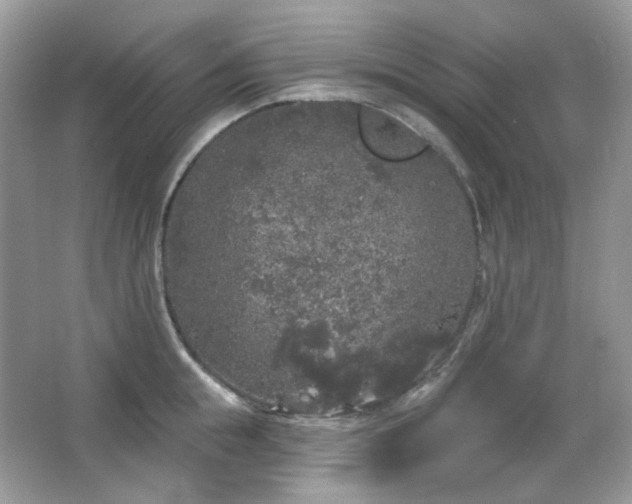 X0000064720855200602101122