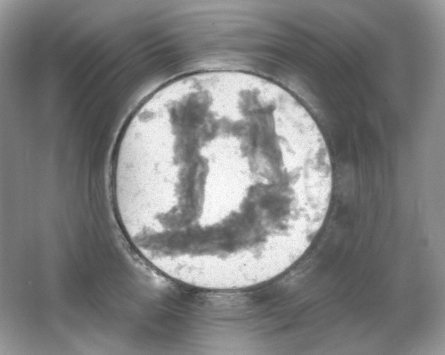 X0000064720856200602101122